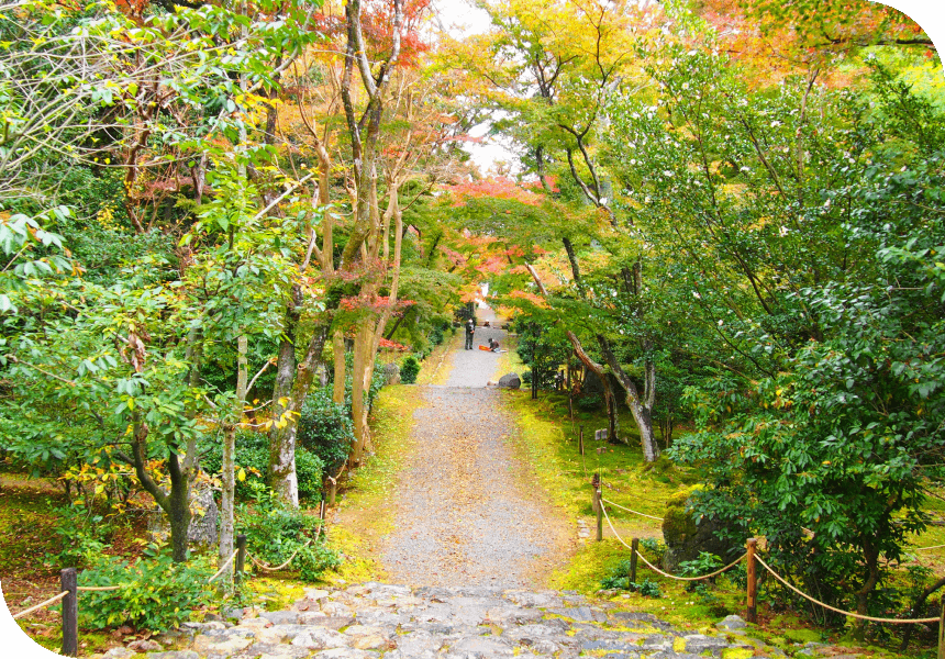 紅葉の美しい小道